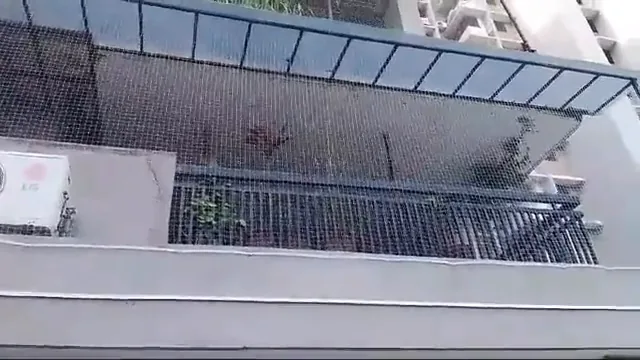 Video: Balcony pigeon net installation Mumbai by Vishwa Windows