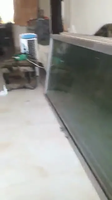 Video: Sliding window roller bearing replacement Mumbai by Vishwa Windows